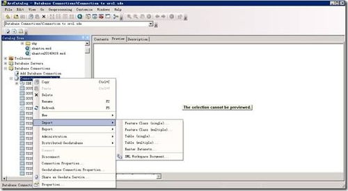 ArcGIS 10.2 地圖服務(wù)發(fā)布與基礎(chǔ)軟件服務(wù)使用詳解