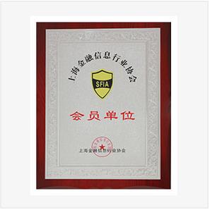 上海雪橙互聯網金融信息服務 信息咨詢服務的專業之選